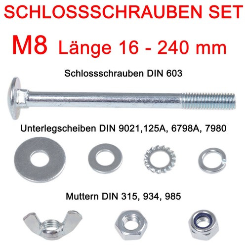 Schlossschrauben set - schlossschrauben, m8