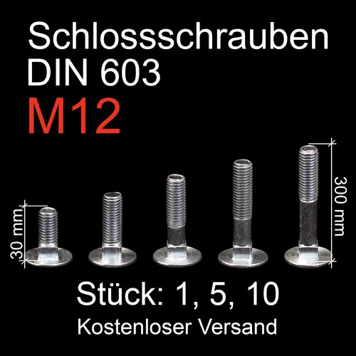 Schlossschrauben m12 verzinkt - m12,
